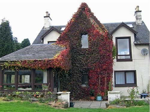 Achnabobane Farmhouse スピーン・ブリッジ エクステリア 写真